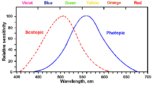 Differenza di sensiblità retinica tra visione diurna e notturna