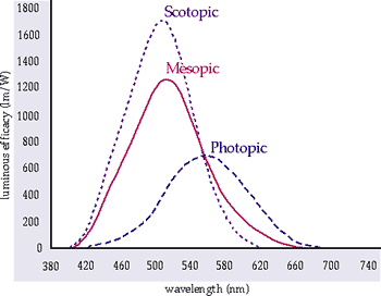 Cambiamento della sensiblità ai colori in visione scotopica