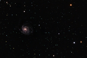 M101