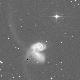 Arp 244
