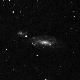 NGC1253