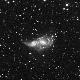 NGC2207