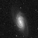 NGC2905