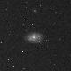 NGC3041