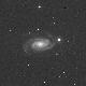 NGC3338