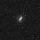 NGC3504