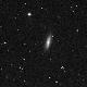 NGC3955