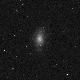 NGC5204
